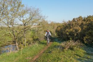 Randouillette229_convert