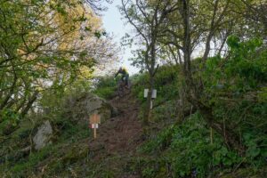 Randouillette22_convert