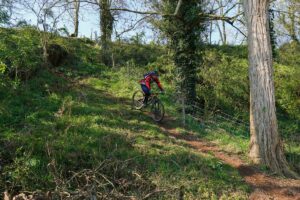 Randouillette308_convert