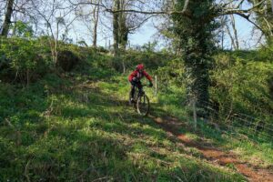 Randouillette311_convert