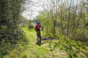 Randouillette325_convert