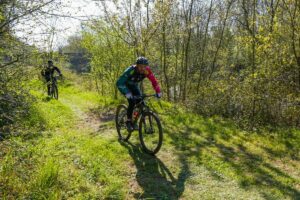 Randouillette357_convert