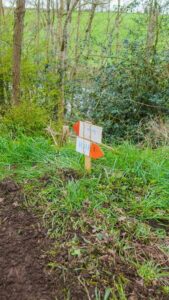 Randouillette_2023-335_convert